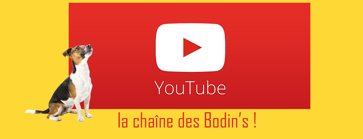 La Chaîne Youtube des Bodin's